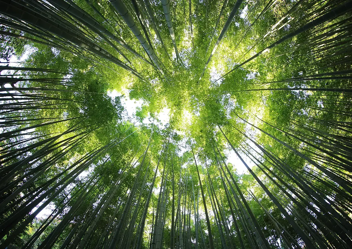 processo produttivo per sostenibilità ambientale nelle pellicole